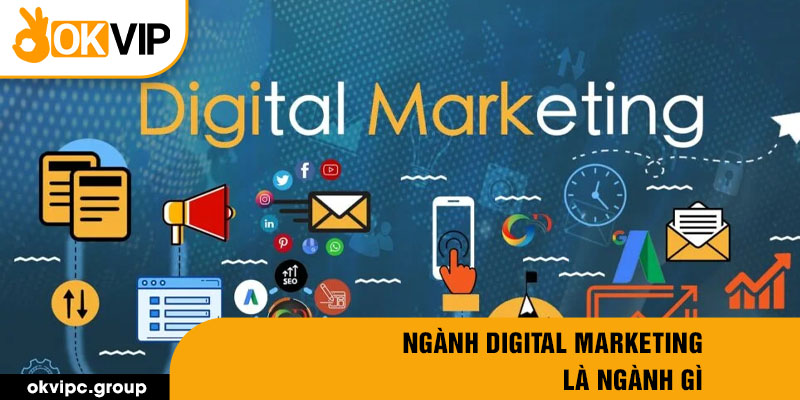 Ngành digital marketing là ngành gì