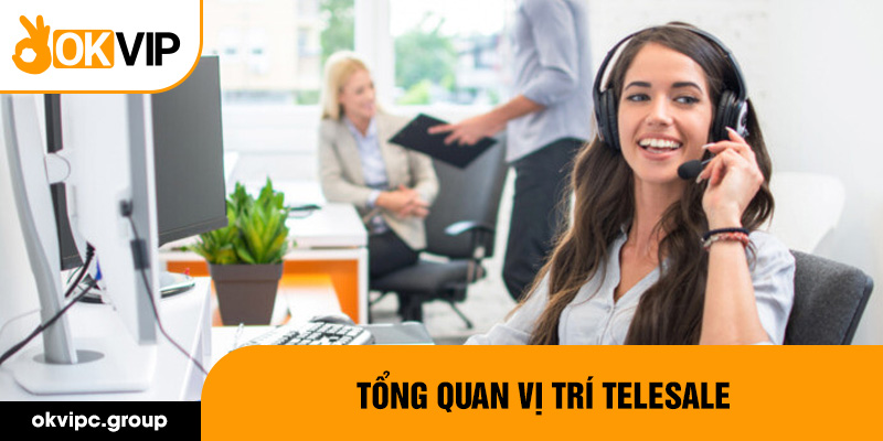 Tổng quan vị trí telesale