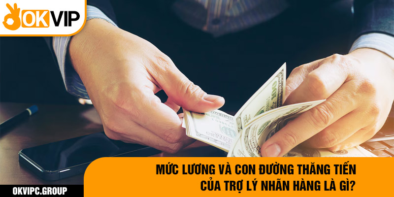 Mức lương và con đường thăng tiến của trợ lý nhãn hàng là gì?