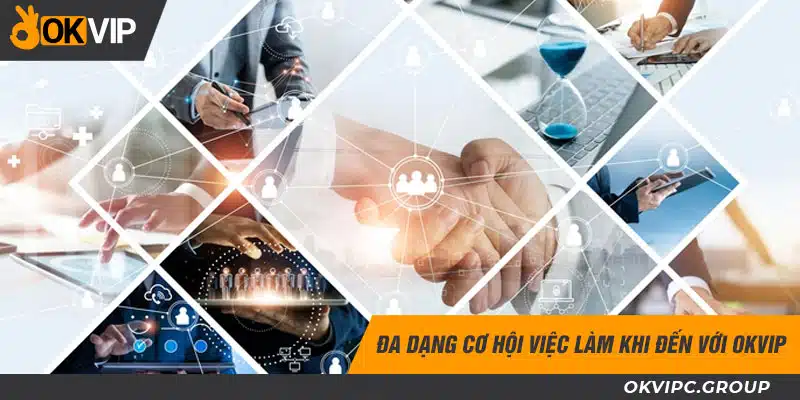 Đa dạng cơ hội việc làm khi đến với OKVIP.