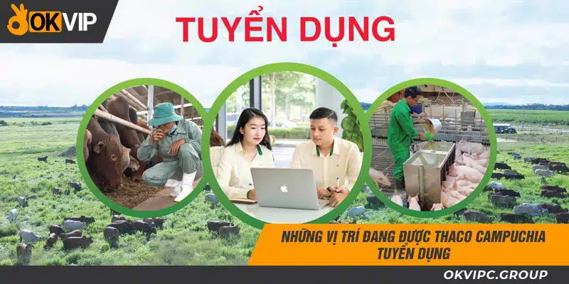 Những vị trí đang được Thaco Campuchia tuyển dụng