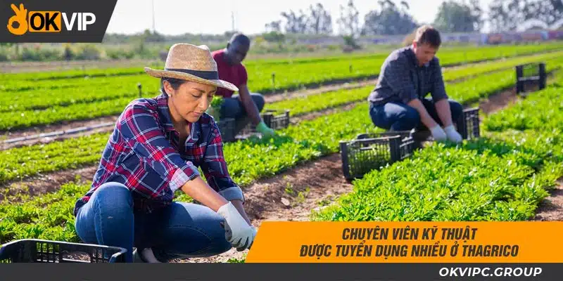 Chuyên viên kỹ thuật được tuyển dụng nhiều ở Thagrico