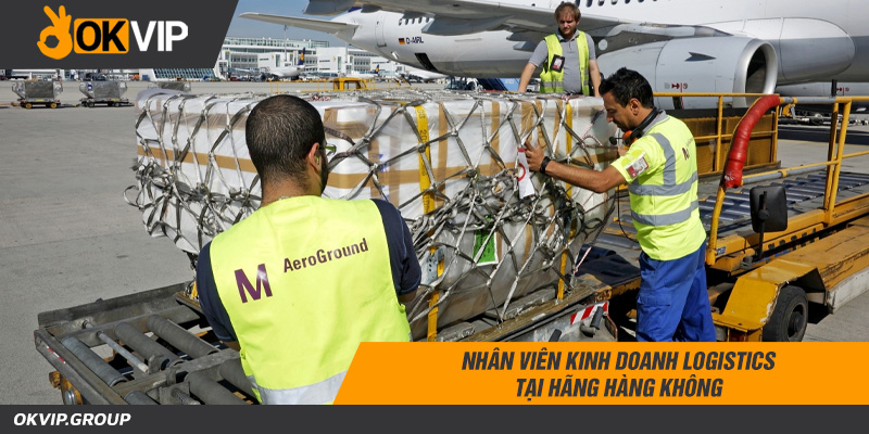 Nhân viên kinh doanh logistics tại hãng không