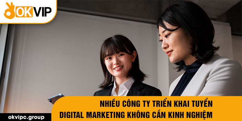 Nhiều công ty triển khai tuyển Digital Marketing không cần kinh nghiệm