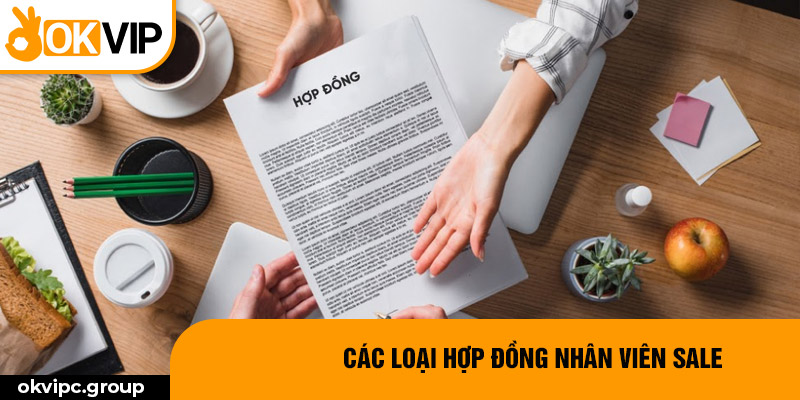 Các loại hợp đồng nhân viên sale