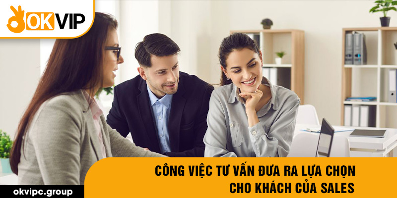 Công việc tư vấn đưa ra lựa chọn cho khách của sales