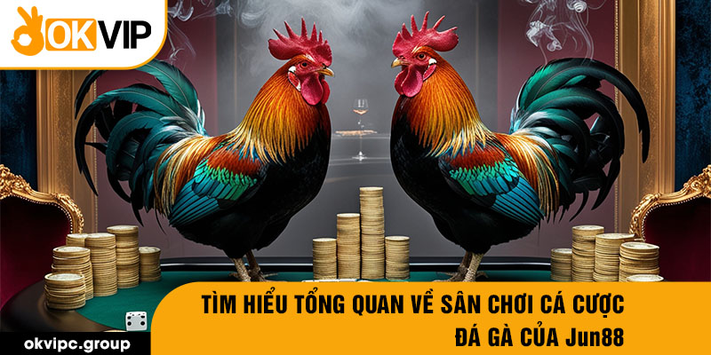 Tìm hiểu tổng quan về sân chơi cá cược đá gà của Jun88