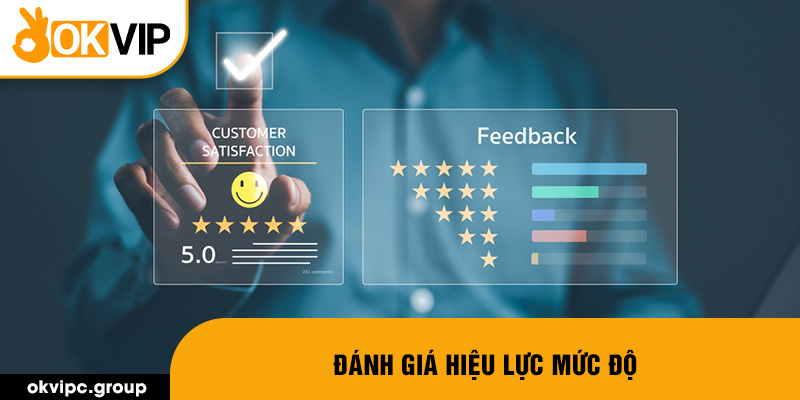 Đánh giá hiệu lực mức độ