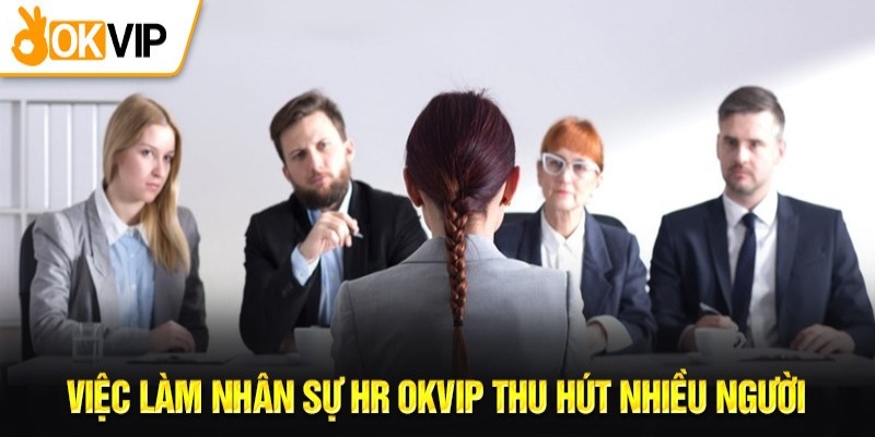 Nhân sự OKVIP là vị trí thu hút nhiều ứng viên tham gia nhất hiện nay