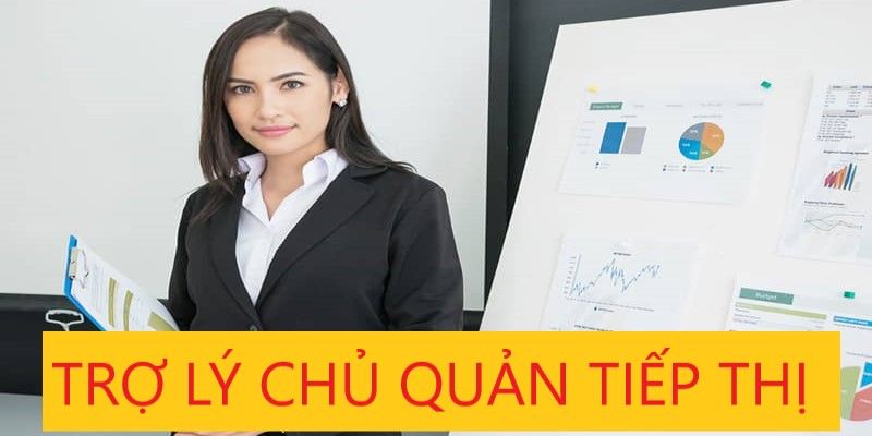 Nộp CV ứng tuyển vào vị trí trợ lý và điều cần biết